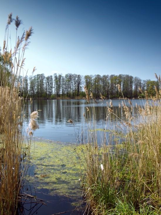 Obszar Partnerstwa dla Doliny Baryczy charakteryzuje się dużą różnorodnością przyrodniczą znany jest z ostoi ptaków oraz występowaniu rzadkich gatunków roślin.