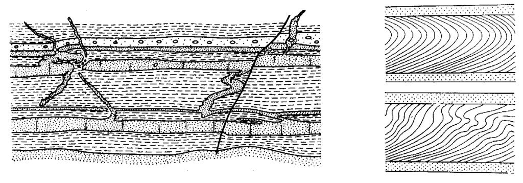 1986) obalone (według Allen & Banks, 1972, z: Gradziński et al.