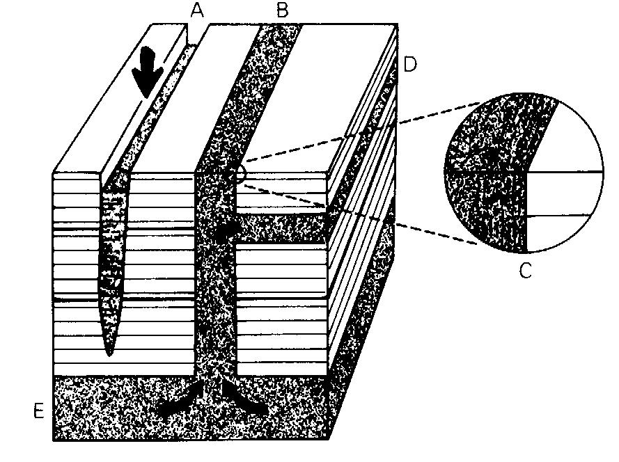 Rózne typy struktur misecz- Ryc. 138. Kanał ucieczkowy kowych (wg Gradziński et al. 1986) (wg Gradziński et al.