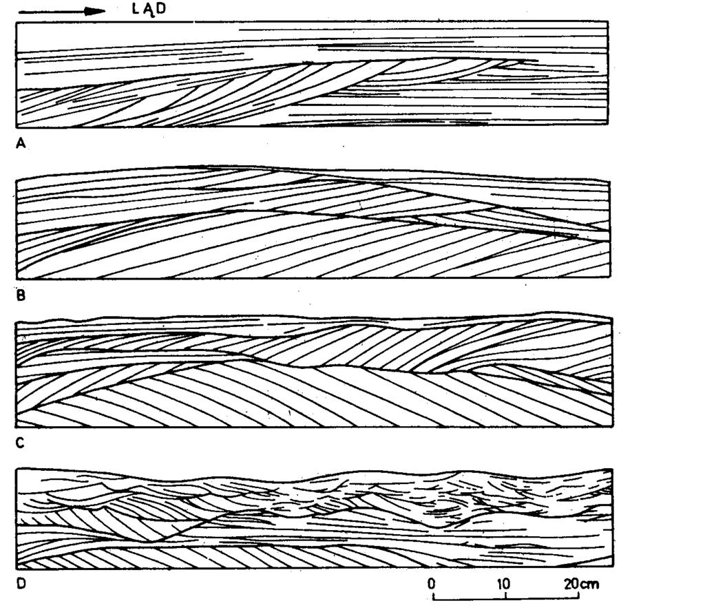 Struktury osadów litoralnych na wybrzeżach rewowych (wg Davidson-Arnott & Greenwood 1976).