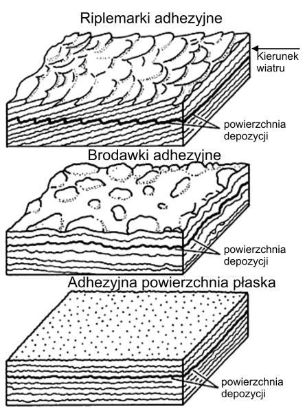 Depozycja eoliczna 69 Formy gromadzenia osadu (Ryc. 98 101): Formy proste: riplemarki (piaskowe, żwirkowe, adhezyjne), powierzchnie płaskie.