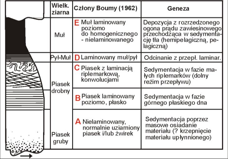 b) osad deponowany w fazie górnego płaskiego dna warstwa osadu piaszczystego laminowanego poziomo, nieraz z lineacją oddzielnościową na powierzchniach lamin, człon Tb ławicy turbidytu; c) osad