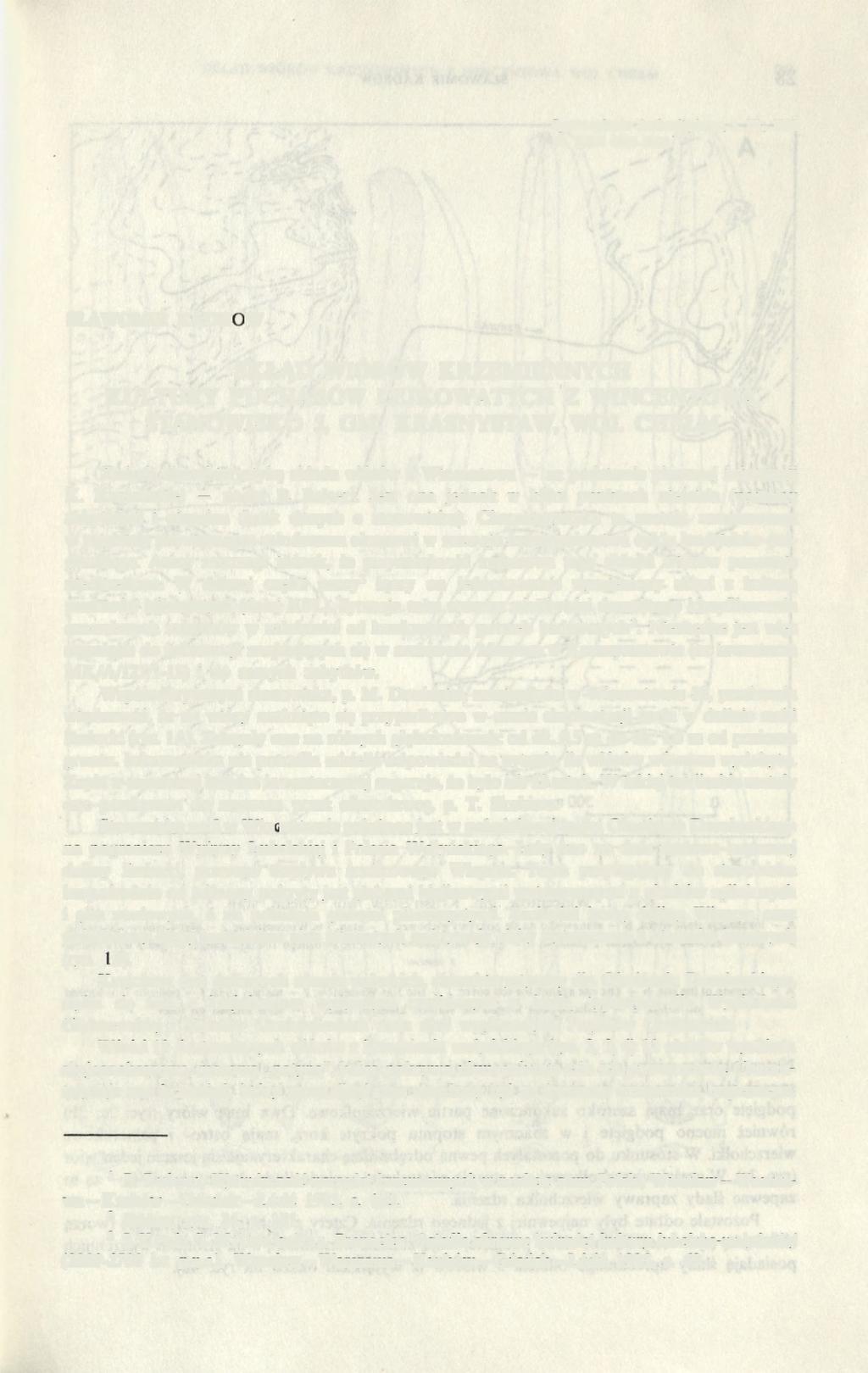 Sprawozdania Archeologiczne, t. XL, 1988 PL ISSN 0081-3834 SŁAWOMIR KADROW SKŁAD WIÓRÓW KRZEMIENNYCH KULTURY PUCHARÓW LEJKOWATYCH Z WINCENTOWA, STANOWISKO 5, GM. KRASNYSTAW, WOJ.