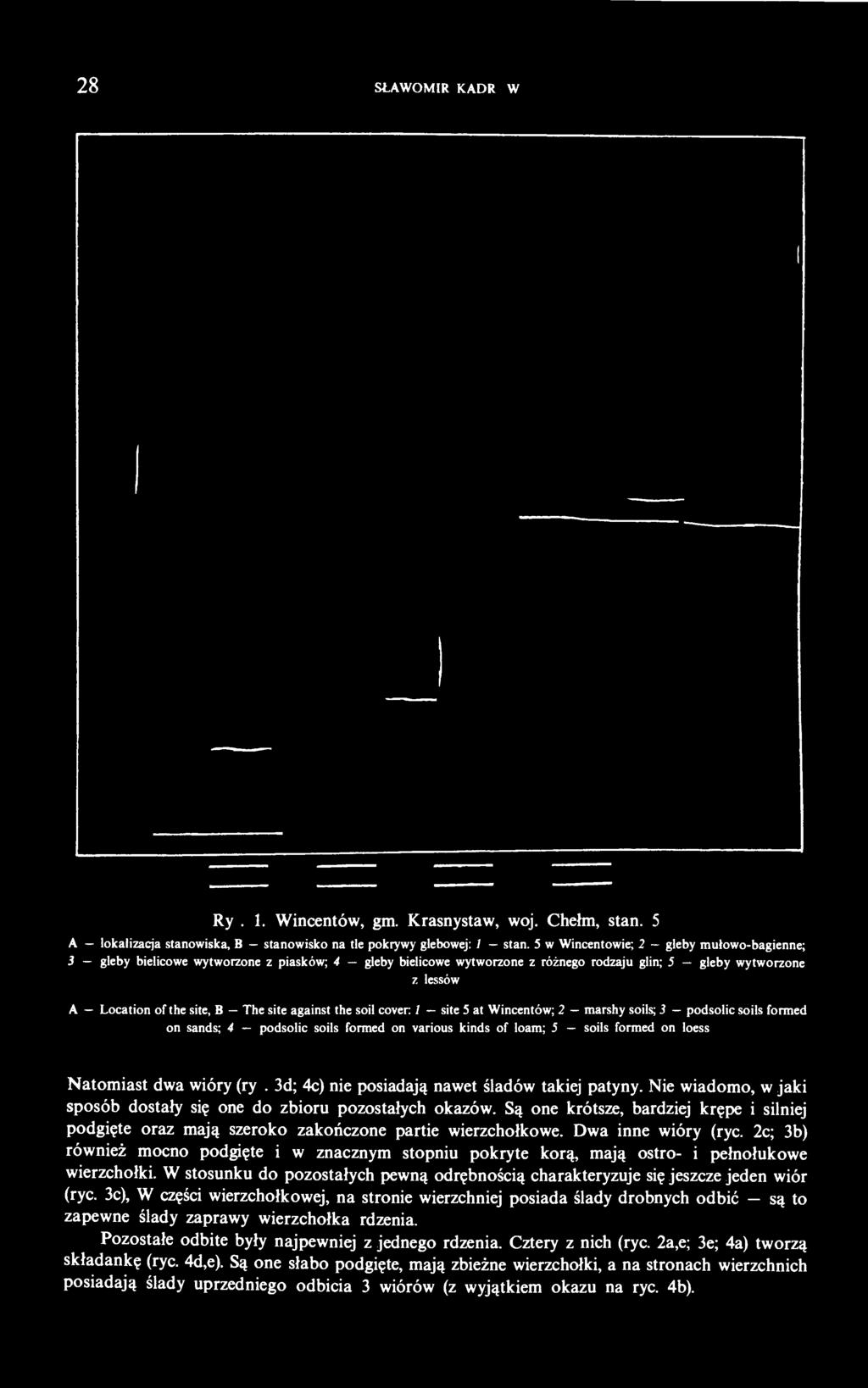 against the soil cover 1 site 5 at Wincentów; 2 marshy soils; 3 podsolic soils formed on sands; 4 podsolic soils formed on various kinds of loam; 5 soils formed on loess Natomiast dwa wióry (ryc.