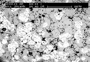 Influence of Al contents on Al 2 O 3 particles size and distribution W strukturze spieków oznaczonych symbolem III, czyli o największej zawartości Al w wyprasce, tlenki Al