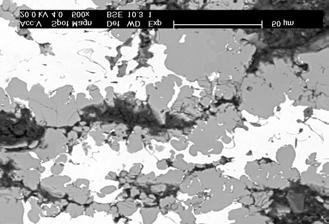 Heterogeneous structure of material after 30 min high temperature treatment process Piętnastominutowy proces homogenizacji nie przyniósł widocznych