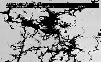 Oxides Al 2 O 3 particles surrounded by aluminium rich phases Po dwudziestu godzinach wyżarzania ujednoradniającego uzyskana zostaje jednofazowa