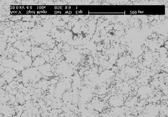 Oxides Al 2 O 3 particles on the boundaries grains of Fe Al phases after 20h (a) and 120h high temperature treatment process Zachodzące podczas