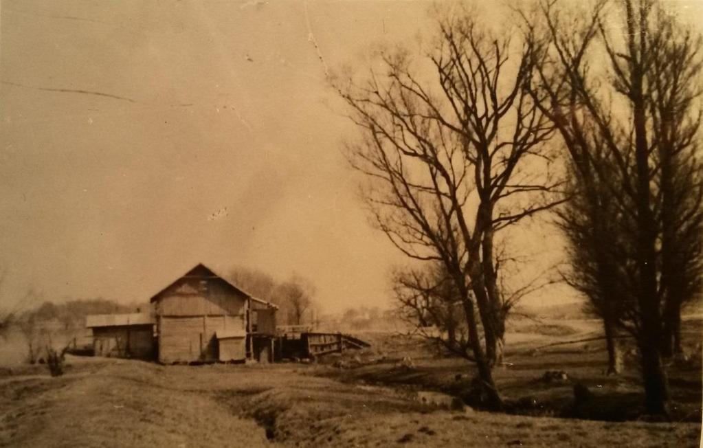 Augustyniaka). Zdjęcie 4 Rok 1950, 10 kwietnia. Siedlisko.