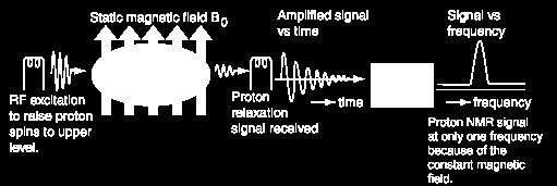 NMR wymagał bardzo jednorodnego pola http://hyperphysics.phy-astr.gsu.