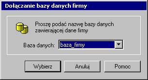 Pojęcia podstawowe 9 Hasło W tym polu należy podać swoje hasło, którym zabezpieczony jest dostęp do danych firmy (serwera).