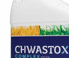 OX Complex 260 EW unikatowy herbicyd do zwalczania najważniejszych chwastów w uprawie pszenicy ozimej. Odpowiednio skomponowany - zawiera MCPA, chlopyralid i fluroksypyr.