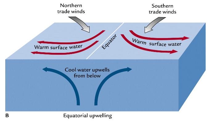 Wśród głównych przyczyn tego zjawiska należy uwzględnić: wpływ działania passatów, w wyniku których występuje upwelling przybrzeżny polegający na zastępowaniu ciepłych wód odpływających od wybrzeży
