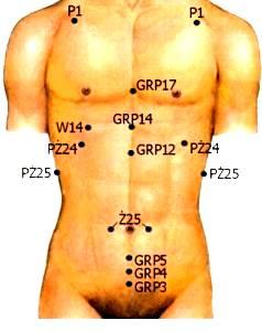 Potrójny ogrzewacz Pęcherzyk żółciowy Wątroba PM22 PM19 PM18 Między I a II kr. Lędźwiowym Między X a XI kr. Między IX a X kr. y MO y alarmowe MO - leżą zwykle poza swoimi meridianami.