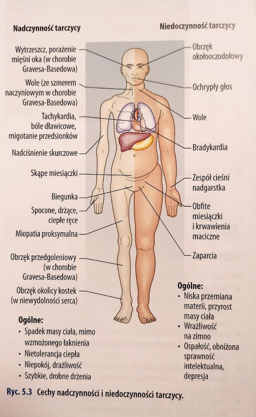 Wywiad: TARCZYCA Masa ciała i jej zmiany Wypróżnienia (Czy miewa Pan zaparcia, biegunki?) Sen, kondycja psycho-fizyczna, tolerancja wysiłku Tolerancja ciepła / zimna (Czy łatwo Pani marznie?