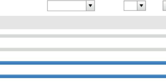 Automatyczna analiza uszkodzeń z poglądowym przedstawieniem graficznym pozwala na lepsze rozeznanie się Asystent napięcia pomiaru: System zaleca wartości napięcia odpowiednio do parametrów