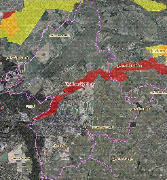 Rysunek 5 Obszar Natura 2000 PLH300038 Dolina Cybiny na terenie gminy Swarzędz Źródło: http://geoportal.gov.