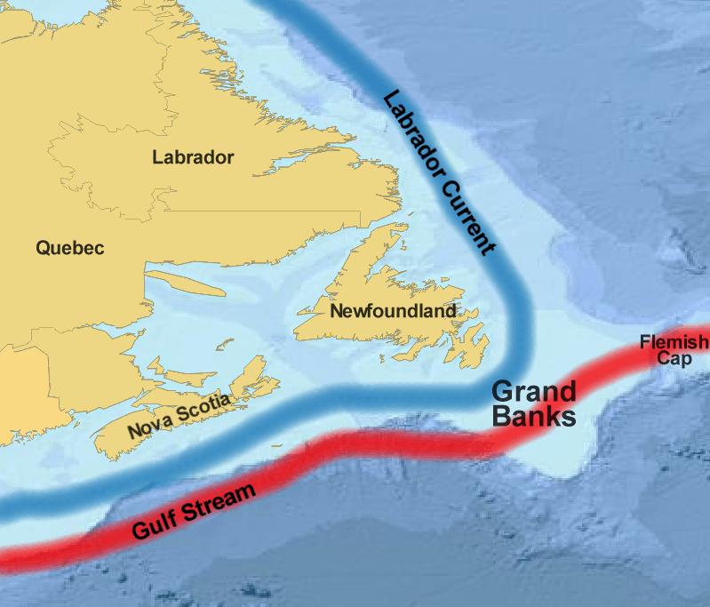 cold Labrador Current from the north and the much warmer