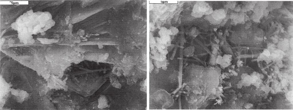70 CZĘŚĆ I Ryc. 50. Mikrostruktura twardniejącego w okresie 28 dni zaczynu zawierającego 40% popiołów fluidalnych. Ziarna ettringitu wykształcone w postaci długich igieł Ryc. 51.