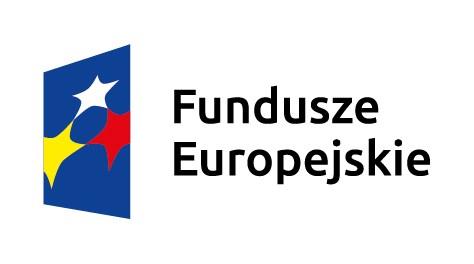 11 Wizualizacja Wszystkie instytucje funkcjonujące w systemie wdrażania programów polityki spójności, beneficjenci Funduszy Europejskich realizujący projekty współfinansowane z programów polityki