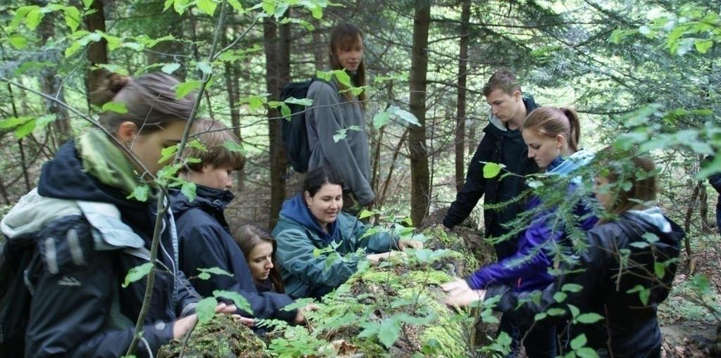 Zmiana podejścia do kwestii kształcenia środowiskowego Stopnie pedagogicznej dojrzałości środowiskowej Rozumienie pojęcia sieci ekologicznych