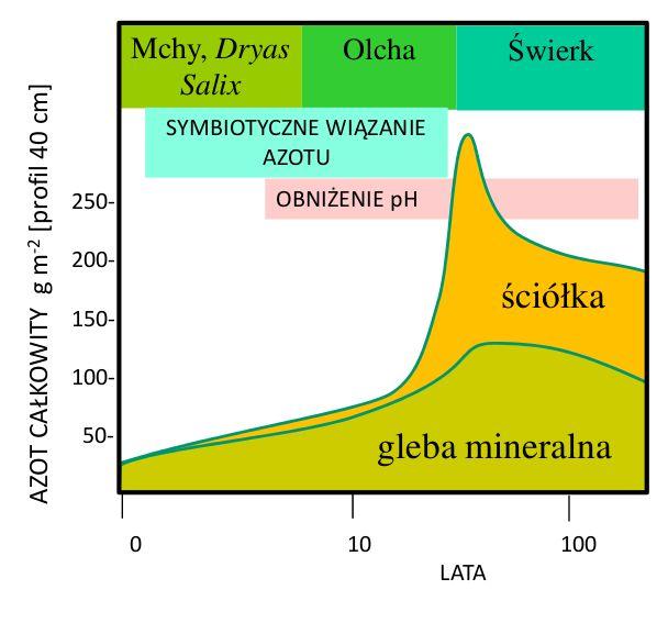 Sukcesja Model ułatwiania Gatunek wcześniejszy przekształca środowisko. Staje się ono dla niego nieodpowiednie, ale sprzyja rozwojowi gatunku późniejszego.