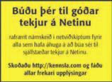 www.raesta.is Garðyrkja Málarar Evrur og dollarar til sölu! Evrur og dollarar til sölu, takmarkað magn til afhendingar hérlendis og erlendis. Uppl. í s.