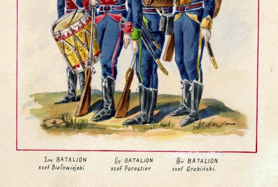jeden z nich Jan Henryk Dąbrowski przygotował projekt utworzenia polskich oddziałów wojskowych, z którym zwrócił się do władz francuskich. Polecono mu zwrócić się do walczącego we Włoszech Napoleona.