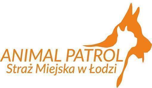 4. ANIMAL PATROL Powstanie Sekcji Animal patrol to niewątpliwie kolejny krok, który podwyższa poziom realizacji interwencji związanych ze zwierzętami.
