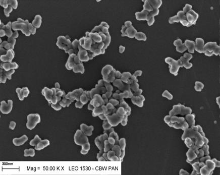 Kompozyty Al 2O 3-SiC w 39 PRACE DOŚWIADCZALNE Materiałami do badań były proszek α-al 2 O 3 produkcji Taimei Co. Ltd Japonia oraz wiskersy β-sic firmy Alfa Aesar Niemcy.