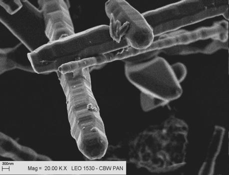 Morphology and the grain size distribution of the α-al 2O 3 powder Wiskersy β-sic charakteryzowały się czystością na poziomie 99,5% oraz stosunkiem długości (d max ) do szerokości (l szer