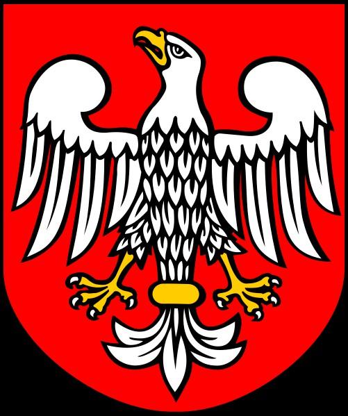 Powiat ostrołęcki nie uchwalił jak dotąd herbu, chociaż próby takie były już podejmowane. Proponowane projekty nie były jednak zgodne z niektórymi regułami heraldyki67.