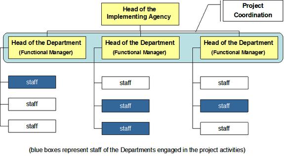 Functional Organization Joanna