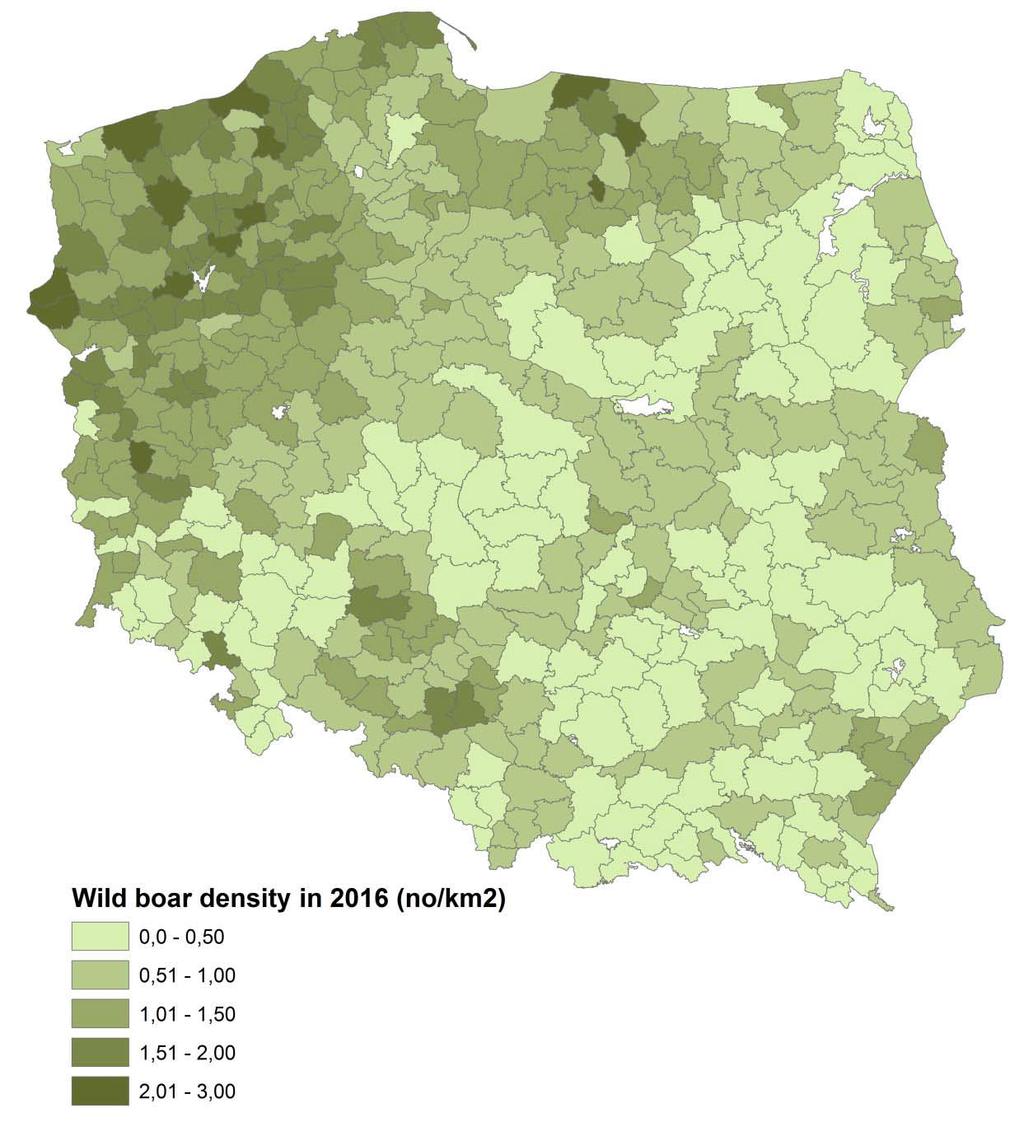 Rozkład zagęszczenia pogłowia dzików w Polsce (spis z 2016 r.