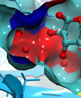 Solwatacja układu ligand-receptor Wpływ cząsteczek rozpuszczalnika Strukturalna integralność układu ligand-receptor Wiązanie