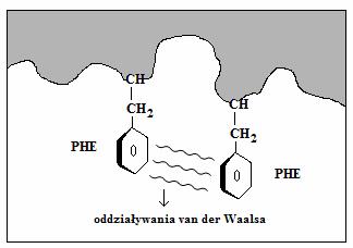 Oddziaływanie ligand-receptor Oddziaływania van der Waalsa występują pomiędzy cząsteczkami hydrofobowymi, np.