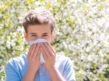 Spalanie paliw stałych 2,5 μm = PM2,5 Pyłki roślin to jeden z najczęstszych czynników powodujących objawy alergii.