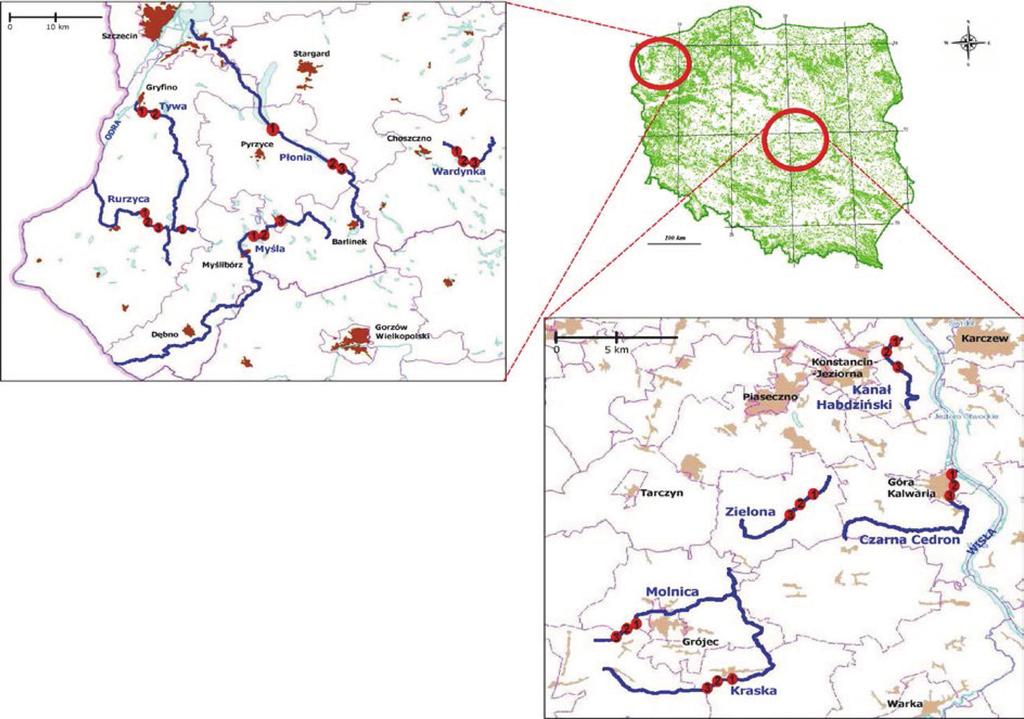 Ocena składu i stanu ichtiofauny niewielkich cieków... Rysunek 1. Lokalizacja rzek i wytypowanych stanowisk badawczych źródło: opracowanie własne Figure 1.