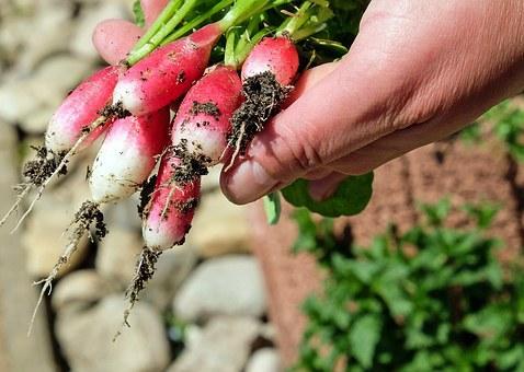 doświadczyć różnorodność biologiczną świata