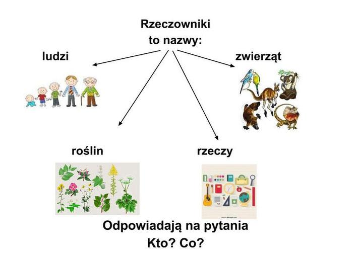 Czasownik Rzeczownik odpowiada na pytania kto?, co?