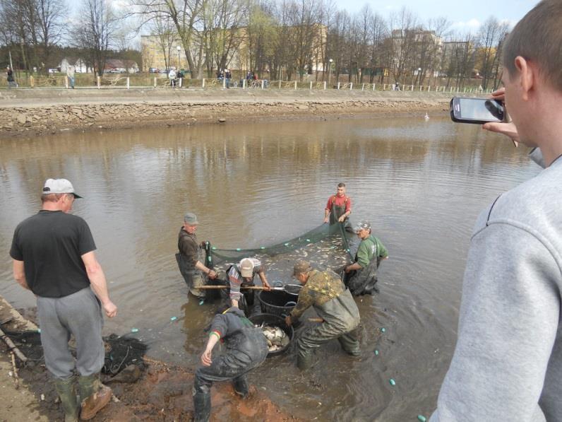 pokaźnych rozmiarów płocie oraz