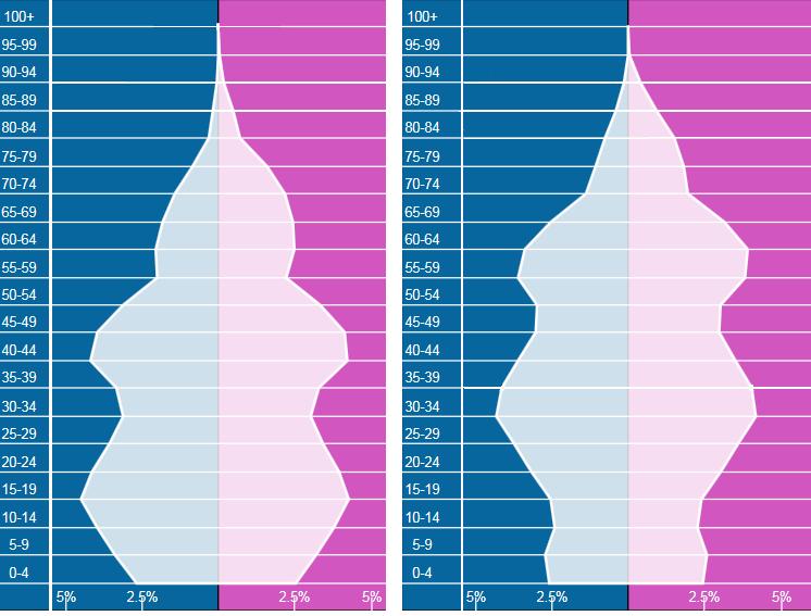 Zadanie 20. /0-3p./ 2000 rok 2016 rok mężczyźni kobiety mężczyźni kobiety Rys. Struktura płci i wieku ludności Polski Źródło: http://populationpyramid.