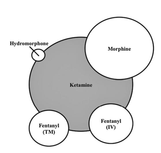 the most frequently observed combination of drugs was ketamine and morphine. The i.v. route was used for 55% of drug administrations.