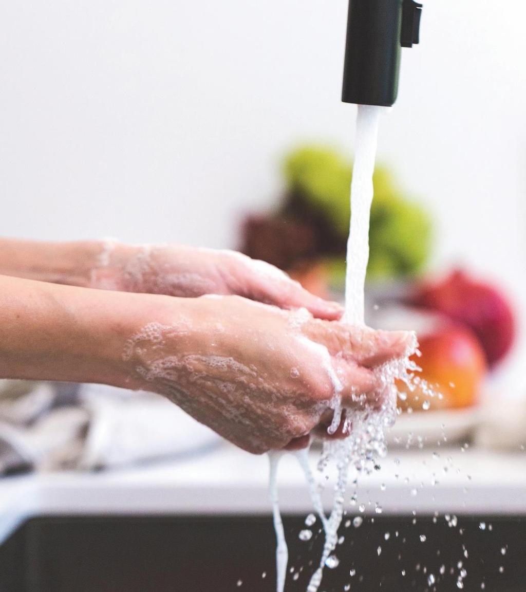 13 Bezpieczeństwo żywności i żywienia Należy: Pamiętać o higienie i myciu rąk Chronić żywność przed zanieczyszczeniem Myć dokładnie owoce i warzywa przed spożyciem Sprawdzać daty przydatności do