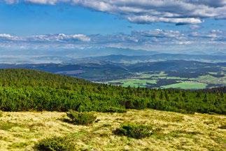 GÓRY I NIE TYLKO - WYCIECZKI WIELODNIOWE BESKID ŻYWIECKI Jezioro Żywieckie - zapora w Tresnej, rejs po Jeziorze Żywieckim, góra Żar, Żywiec - Pałac Habsburgów, park pałacowy, rynek, multimedialne