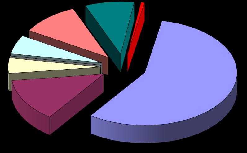 2,21 3,95 0,71 Działalność dydaktyczna 31,23 Działalność badawcza Działalność gosp.