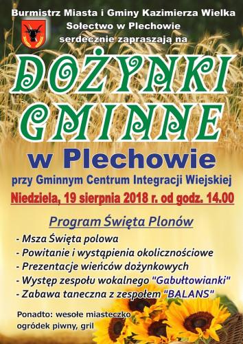 Dożynki w regionie świętokrzyskim z wieloma atrakcjami 4 Burmistrz Miasta i Gminy Kazimierza Wielka zaprasza na Dożynki w Plechowie, które o godz. 14.