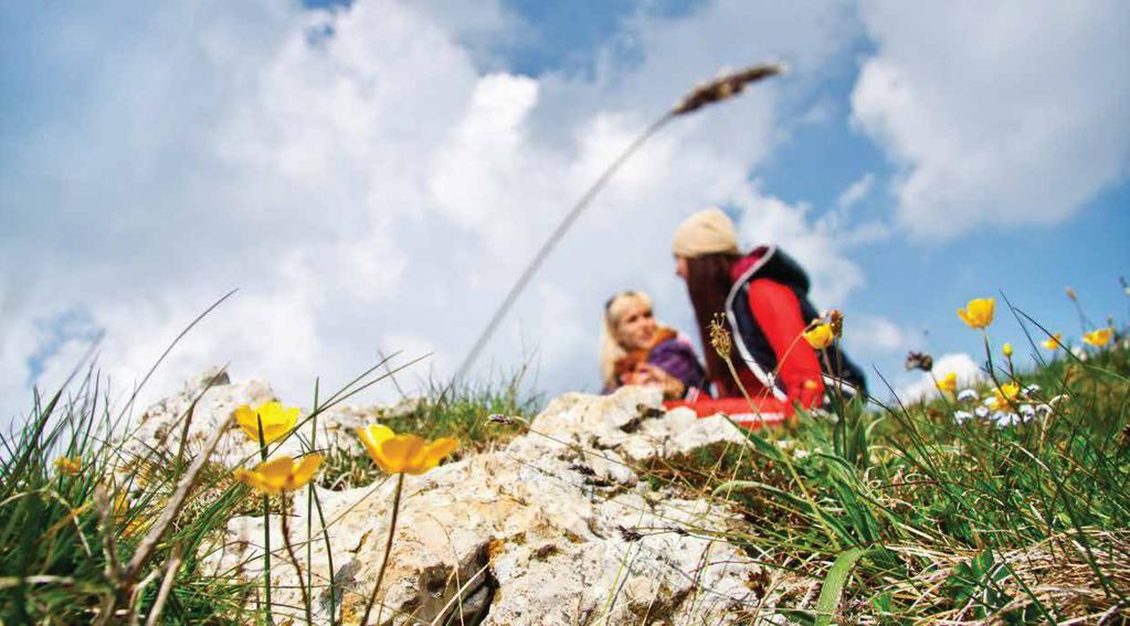 CENNIK Cennik 2017 Górska Kraina 25zł / dziecko Ogród Zabaw 25zł / dziecko Cennik