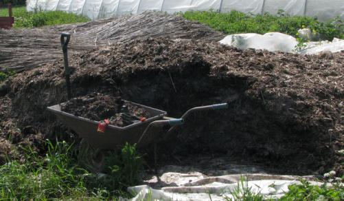 Korzyści płynące ze stosowania kompostów wzbogacenie gleby ustabilizowanym materiałem