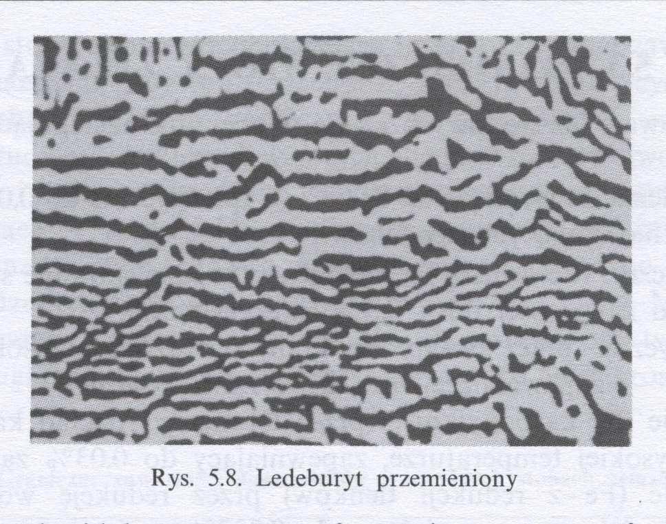 Ledeburyt (=eutektyka)